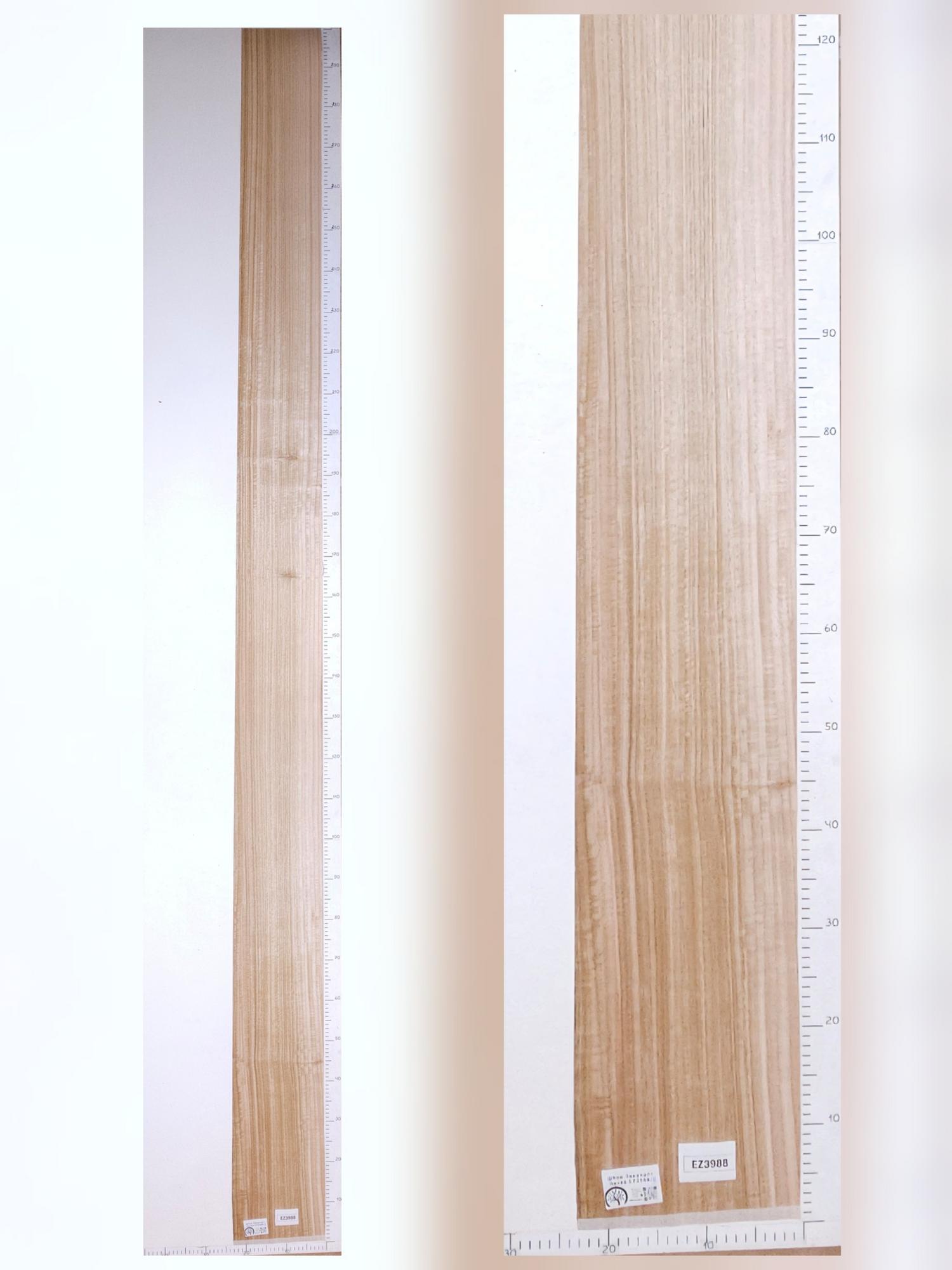 Шпон Эвкалипт лист 3х0,21м EZ3987