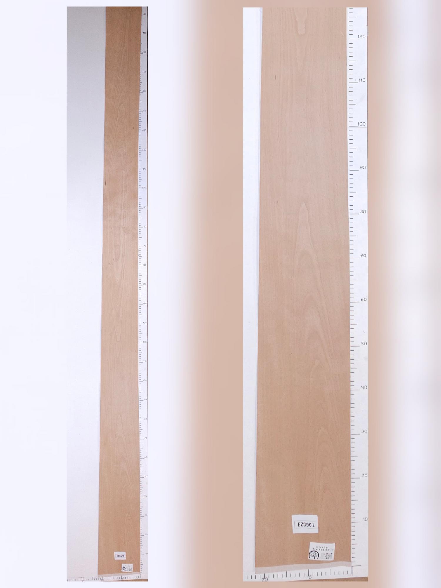 Шпон Бук лист 3,1х0,19м EZ3901