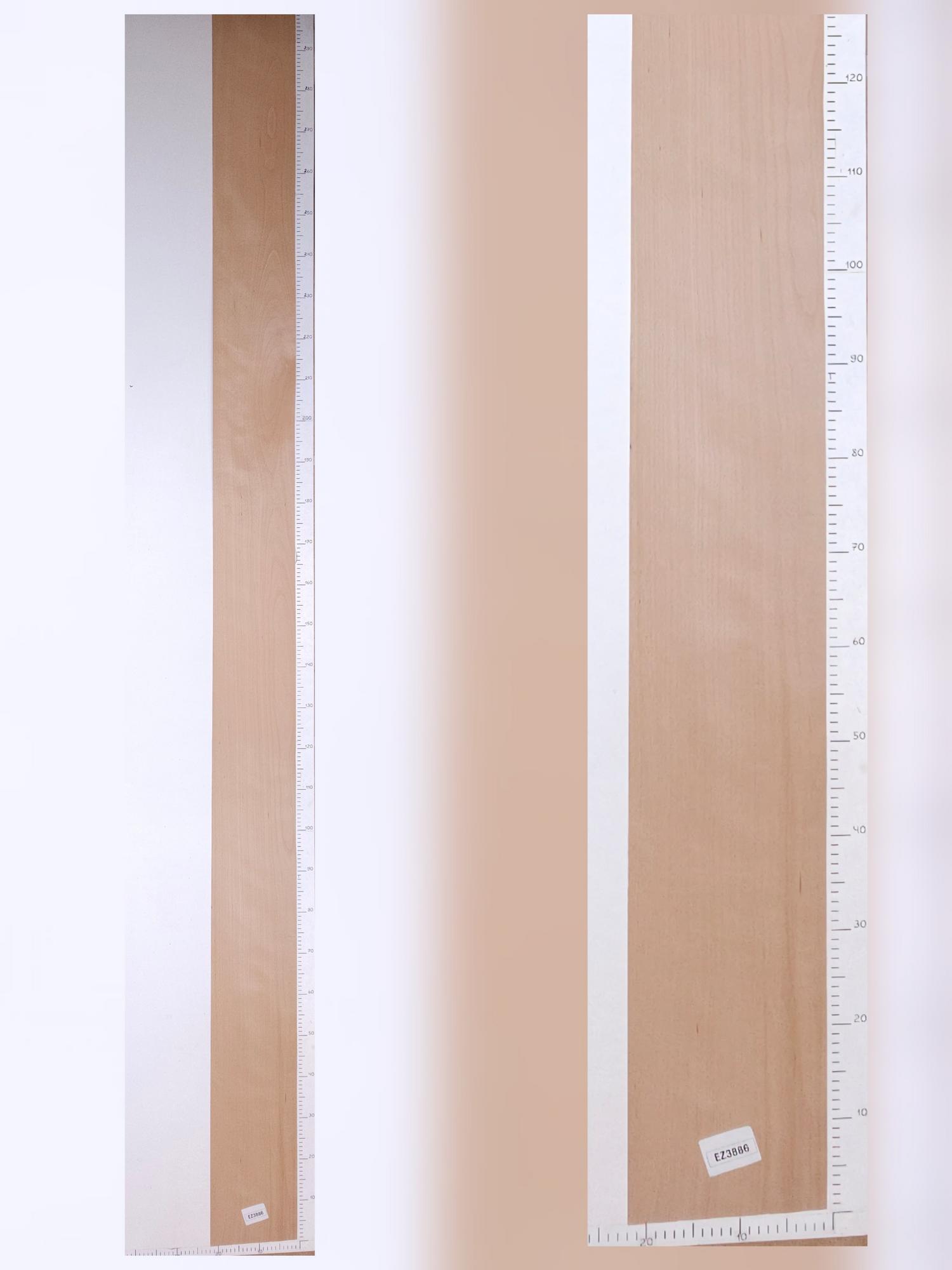 Шпон Бук лист 3х0,2м EZ3886