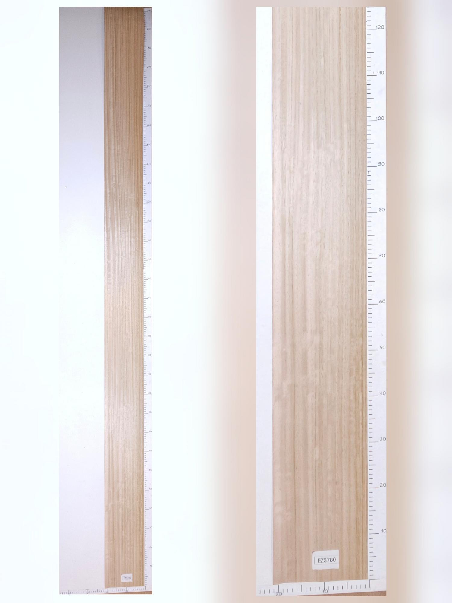 Шпон Эвкалипт лист 3,1х0,2м EZ3780