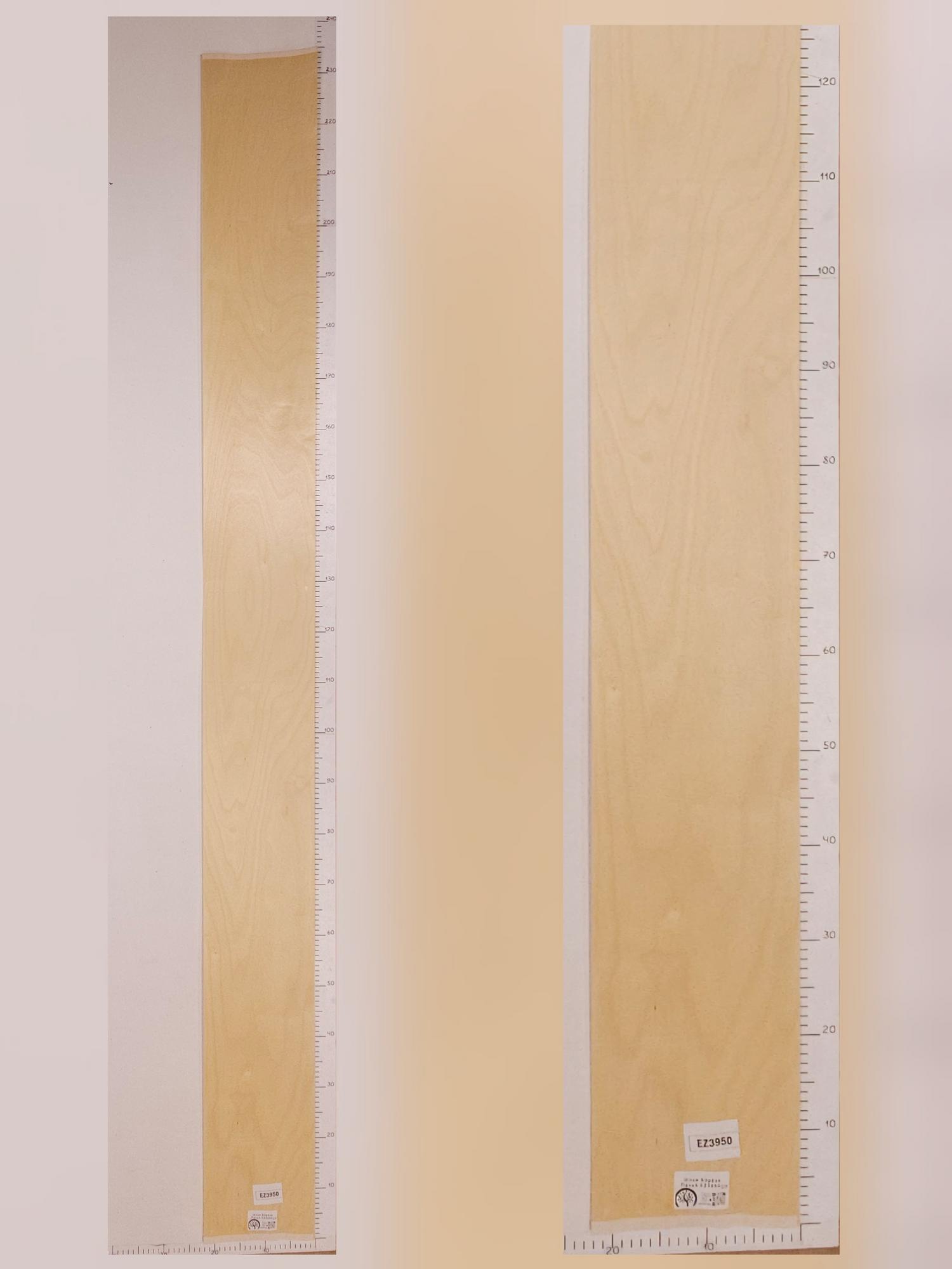 Шпон Берёза лист 2,3х0,22м EZ3950