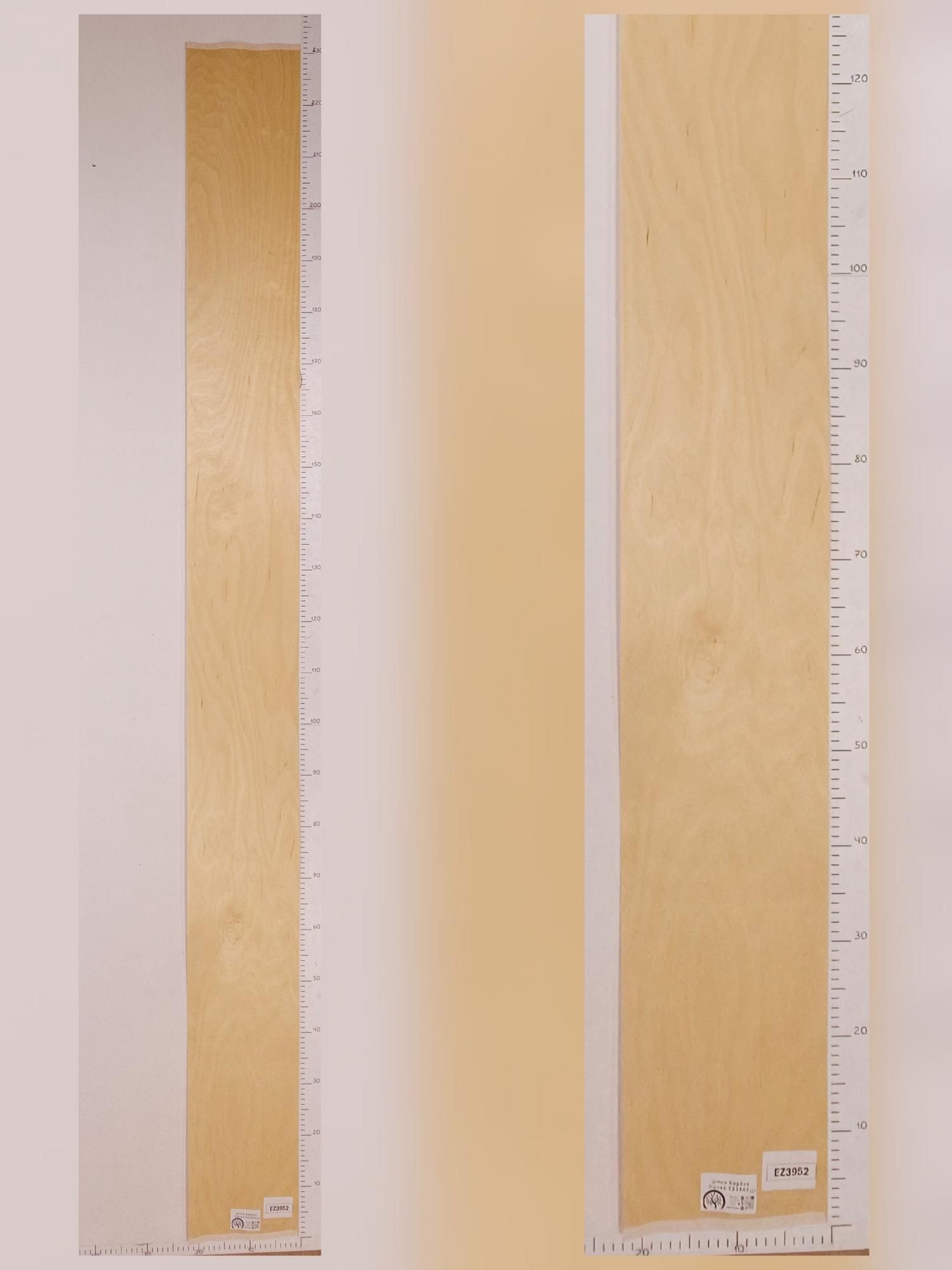 Шпон Берёза лист 2,3х0,21м EZ3952