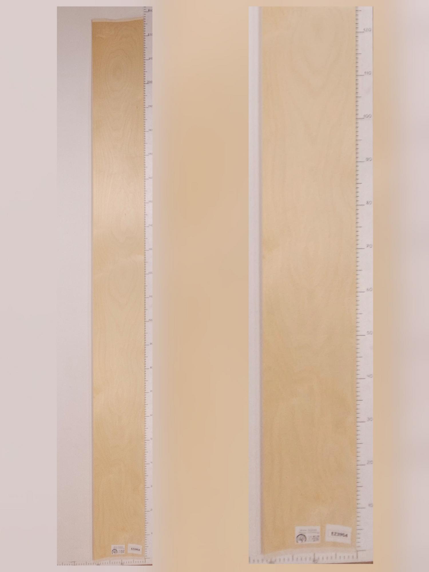 Шпон Берёза лист 2,25х0,21м EZ3954