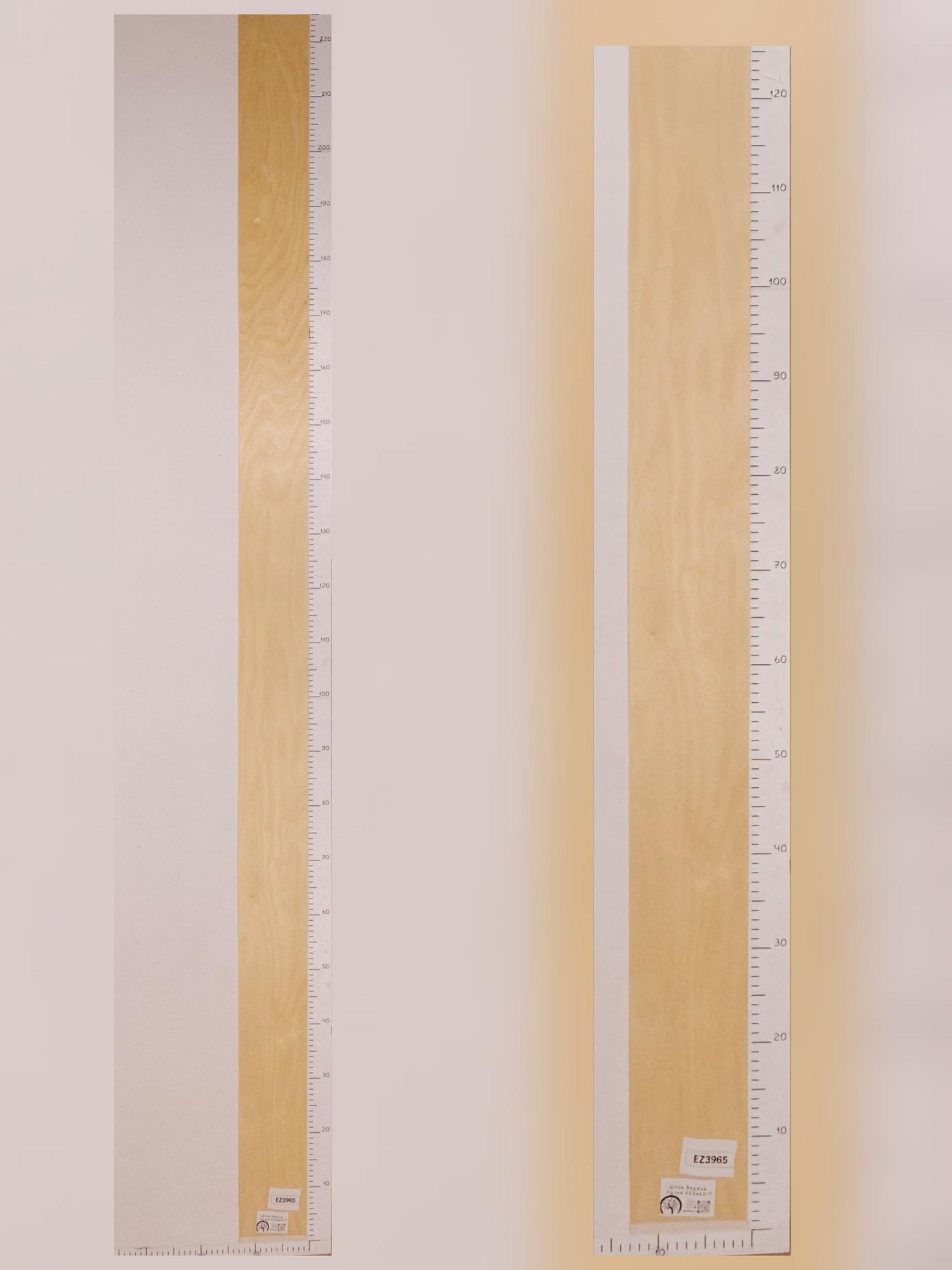 Шпон Берёза лист 2,3х0,13м EZ3965