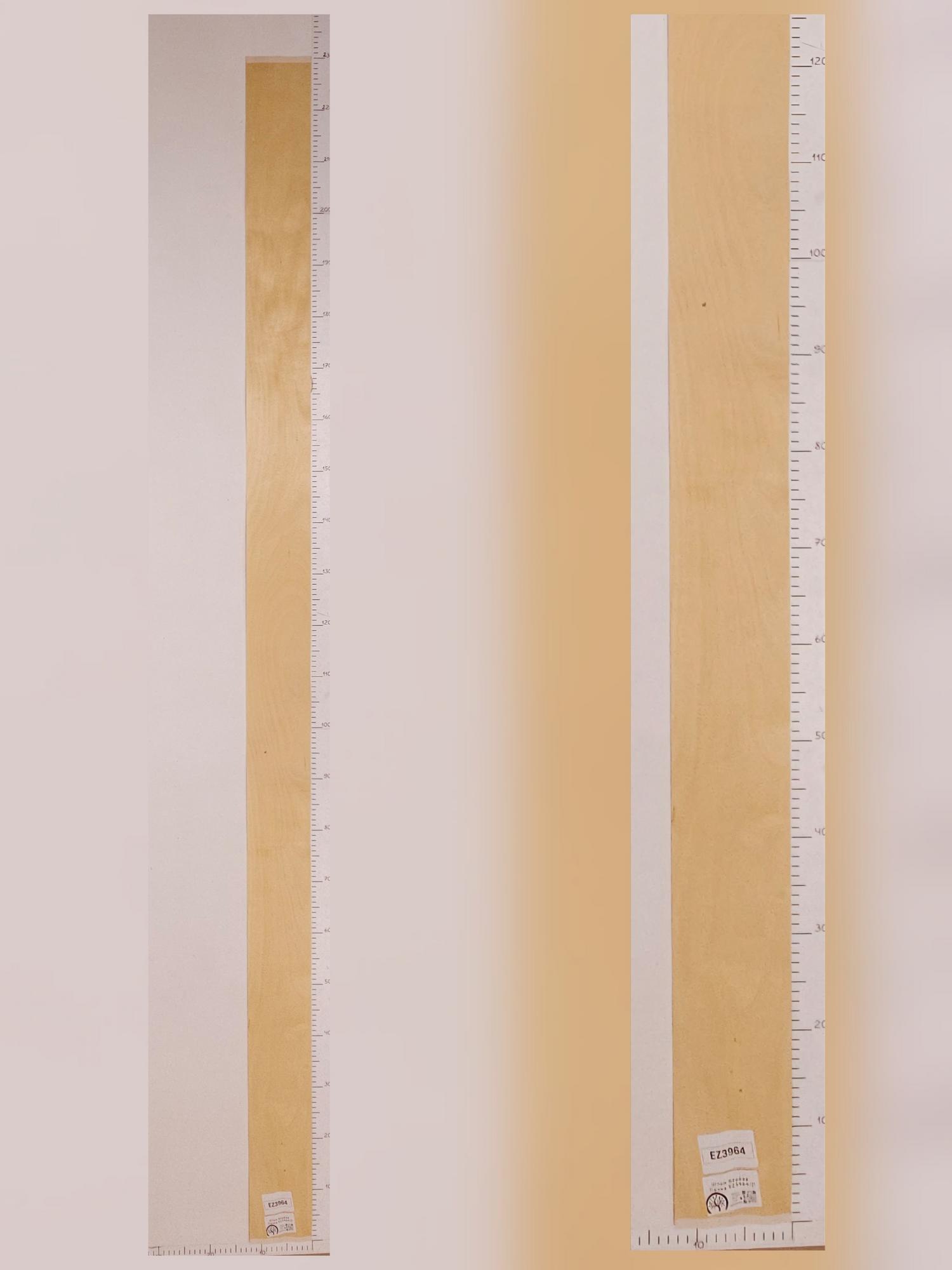 Шпон Берёза лист 2,3х0,13м EZ3964