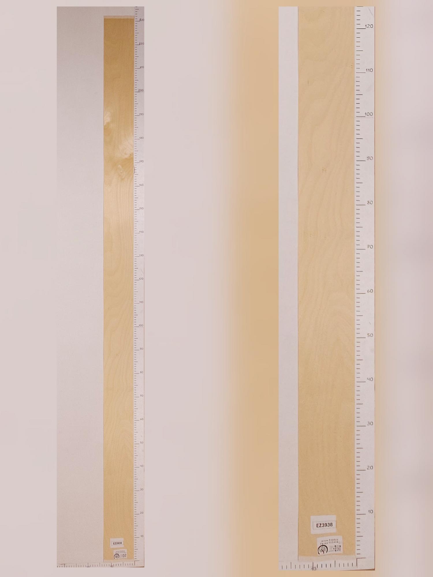 Шпон Берёза лист 2,3х0,13м EZ3938