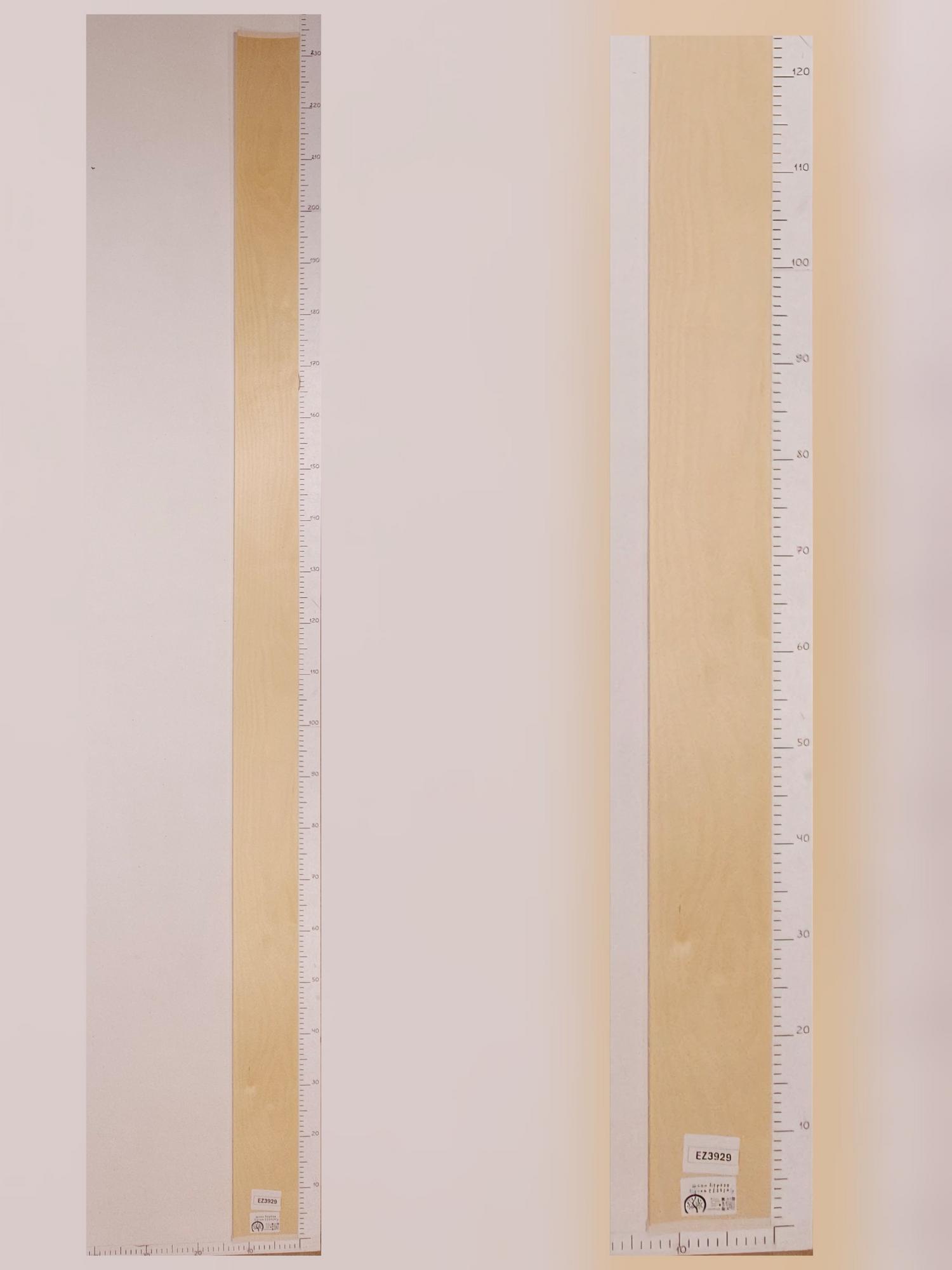 Шпон Берёза лист 2,3х0,12м EZ3929