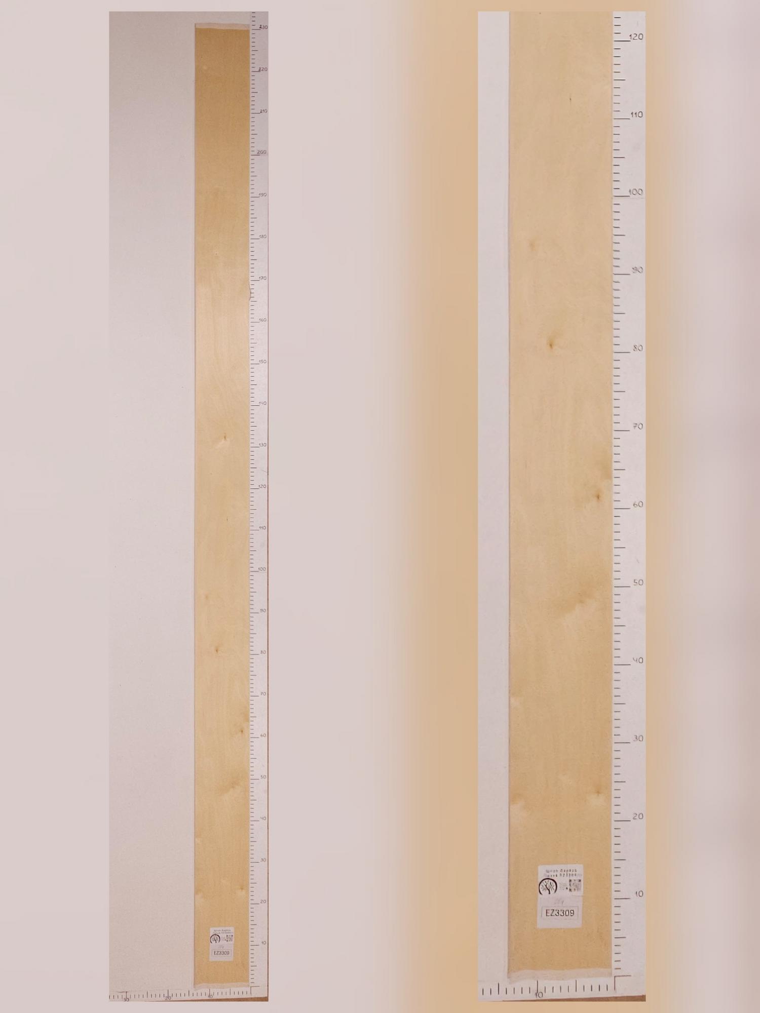 Шпон Берёза лист 2,3х0,13м EZ3309