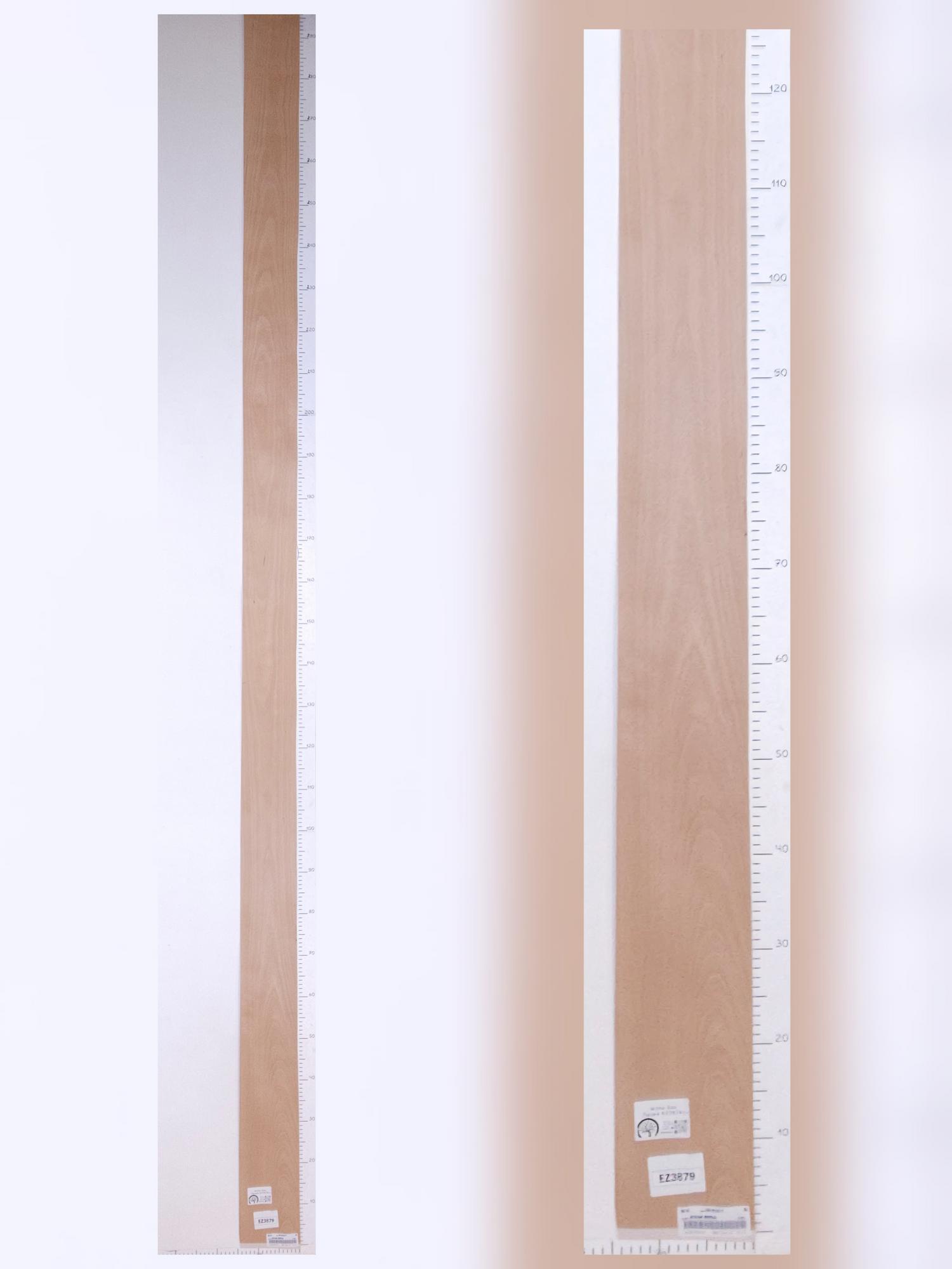 Шпон Бук лист 3х0,14м EZ3879