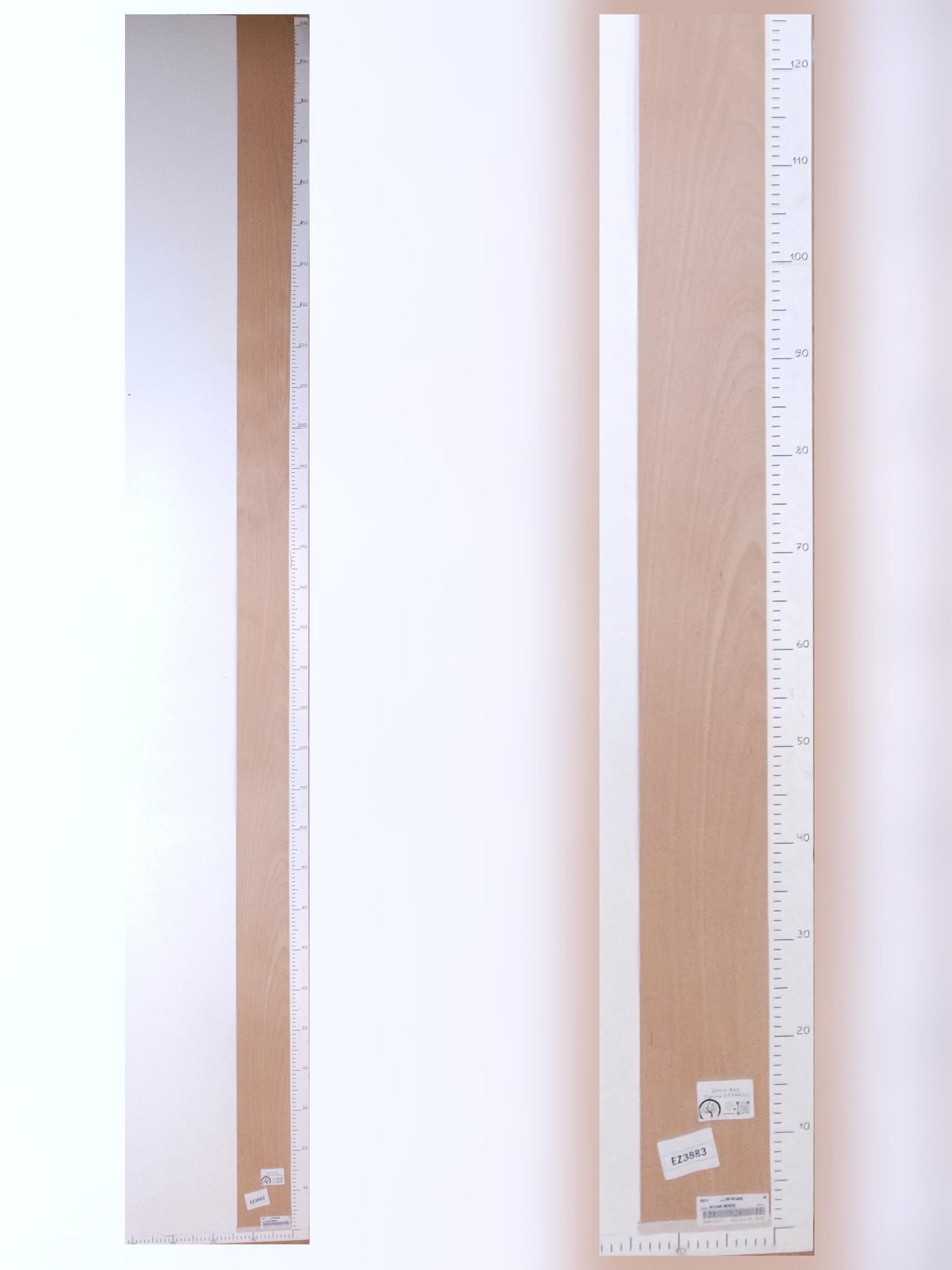 Шпон Бук лист 3,1х0,14м EZ3883