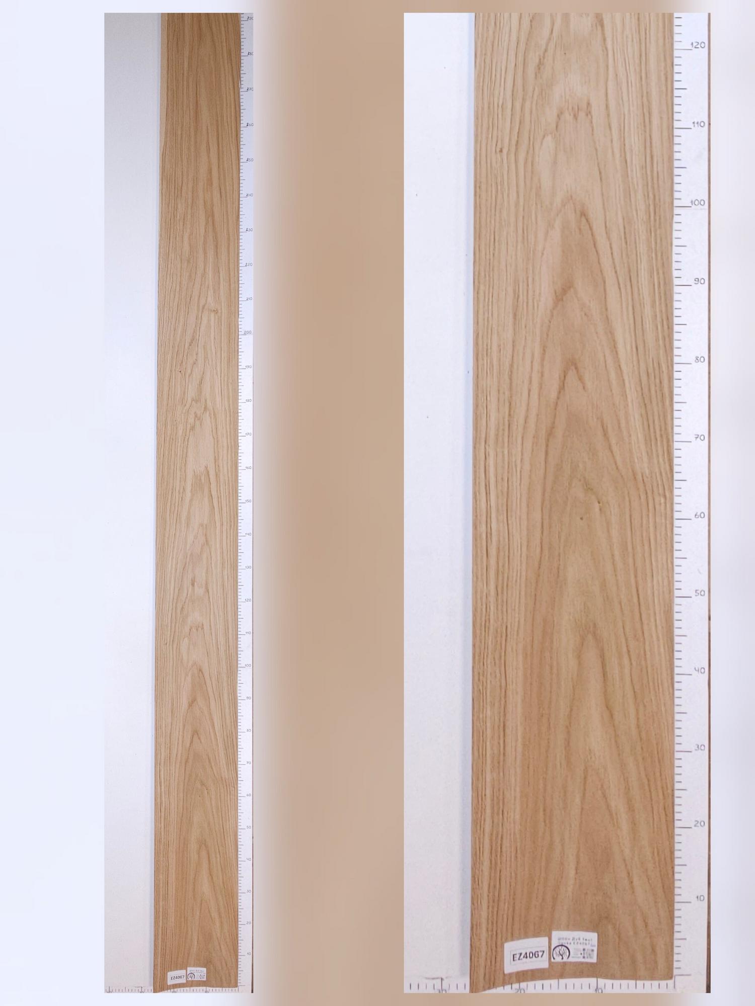 Шпон Дуб тангенс лист 3*0,24м EZ4067