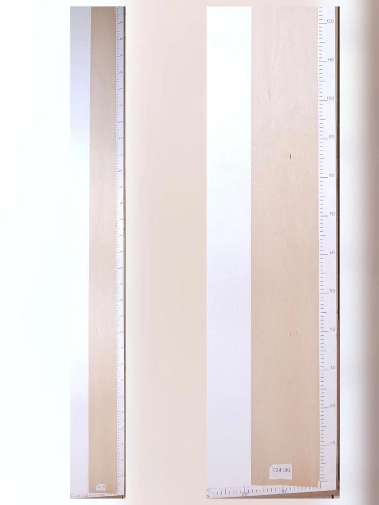 Шпон Клён лист 3,1х0,17м EZ4186