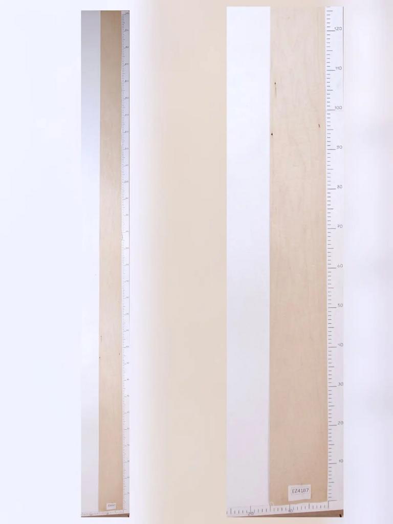 Шпон Клён лист 3,1х0,13м EZ4187