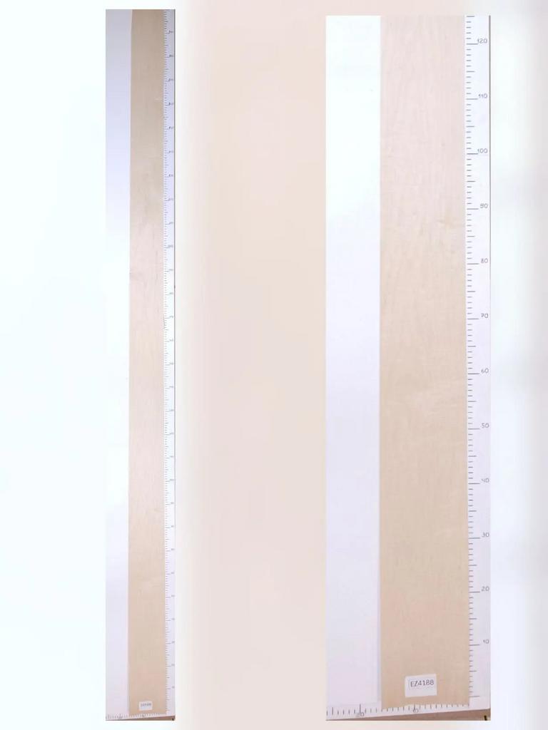 Шпон Клён лист 3,1х0,14м EZ4188