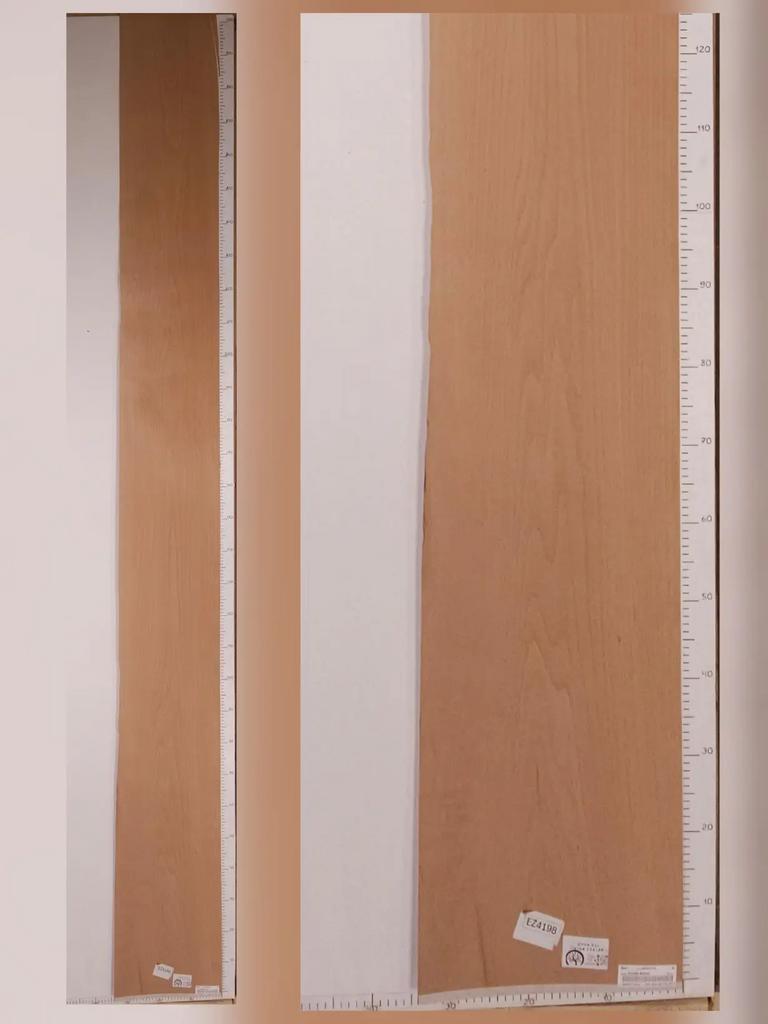 Шпон Бук лист 3,15х0,31м EZ4198