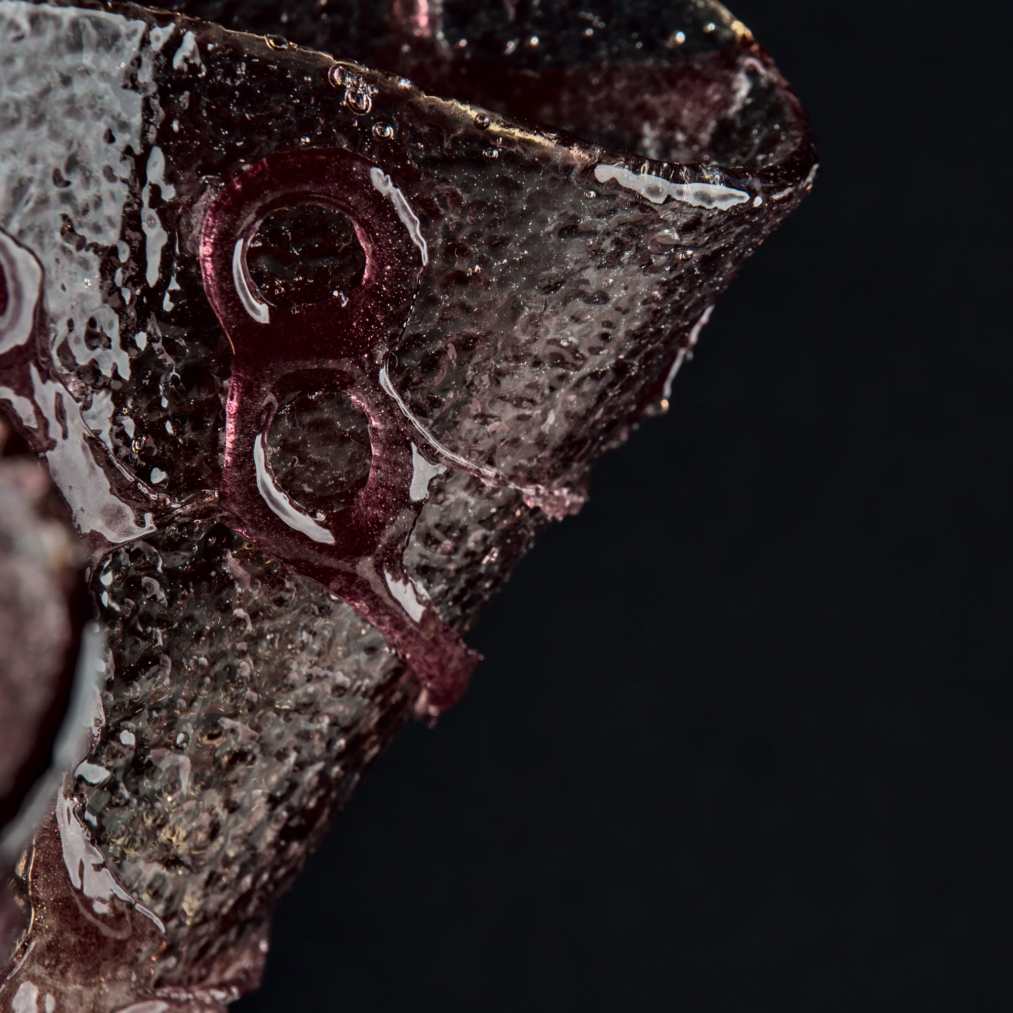 Пара светильников Rosa из серии Форма жизни"