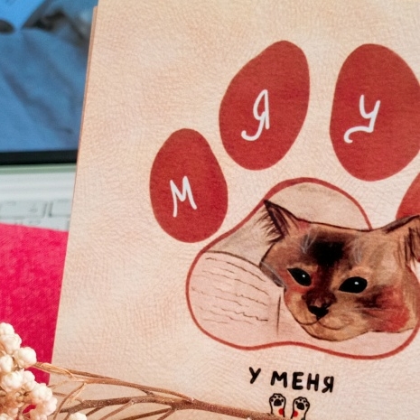 открытка у меня лапки, милый котик на книге | чай с Фиалкой