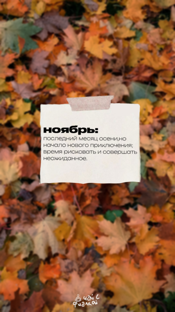 Обои на телефон | ноябрь