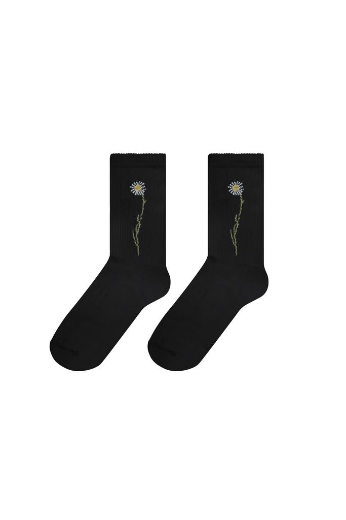 Носки Ромашка черные Гербарий