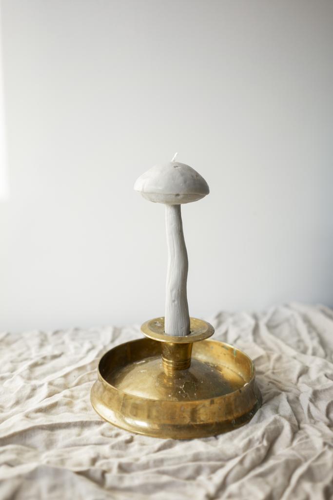 Гриб Подберезовик белого цвета Unification Love