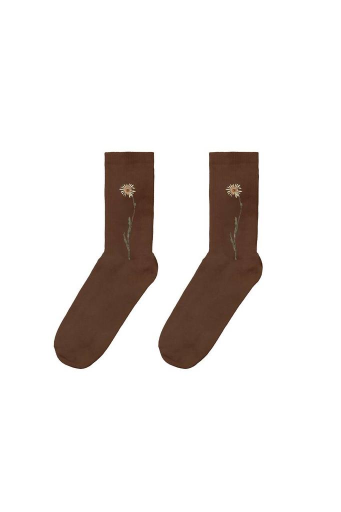 Носки Ромашка коричневые Гербарий