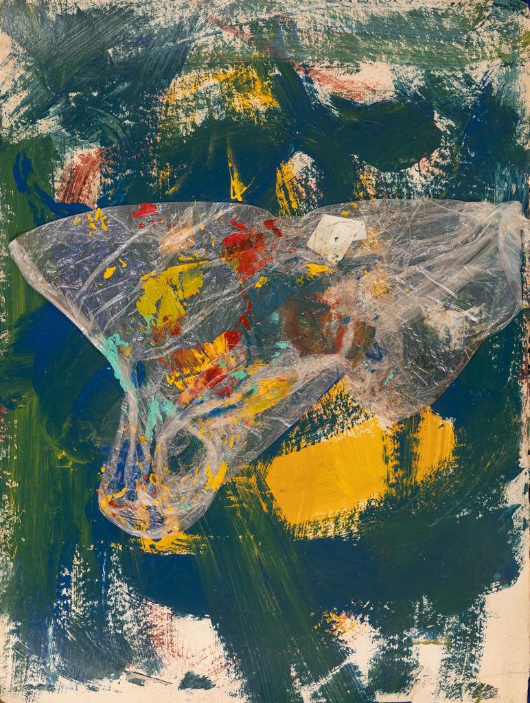 Женя "Дверь" Коновалова "Видимость птицы"