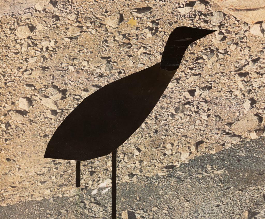 Женя "Дверь" Коновалова "Птица коллажная 2"