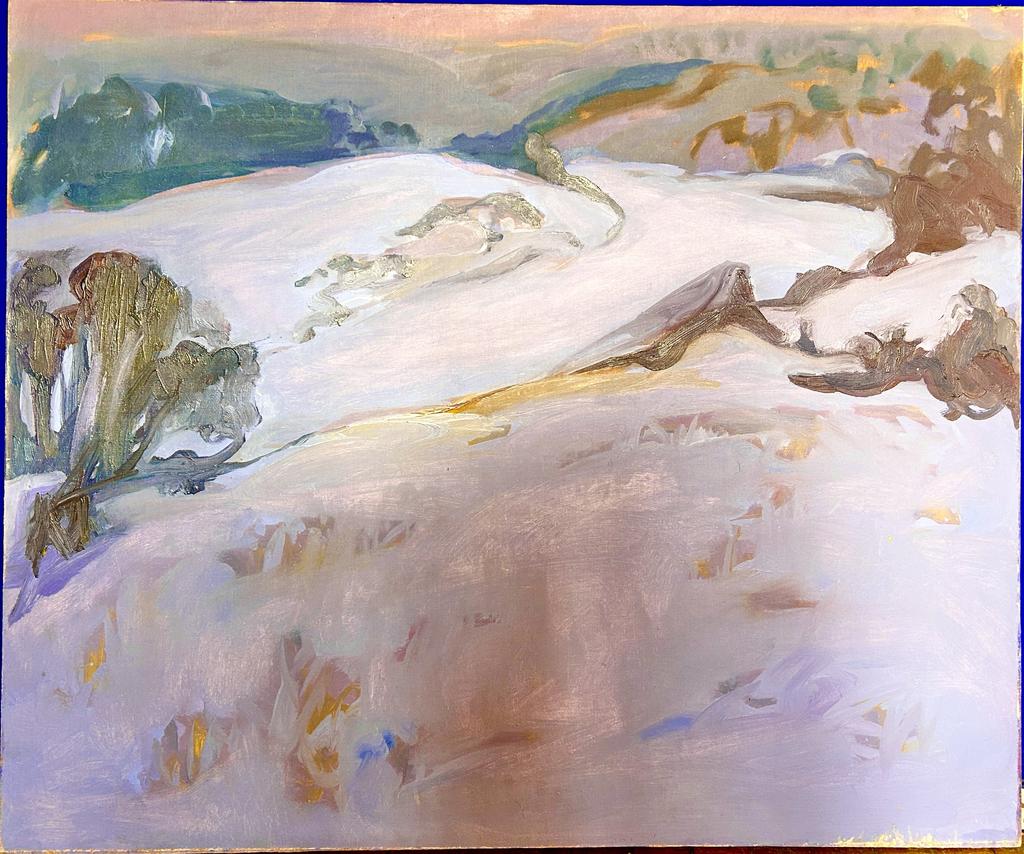 Николай Владимирович Полисский "Ледяные сумерки моей Родины"