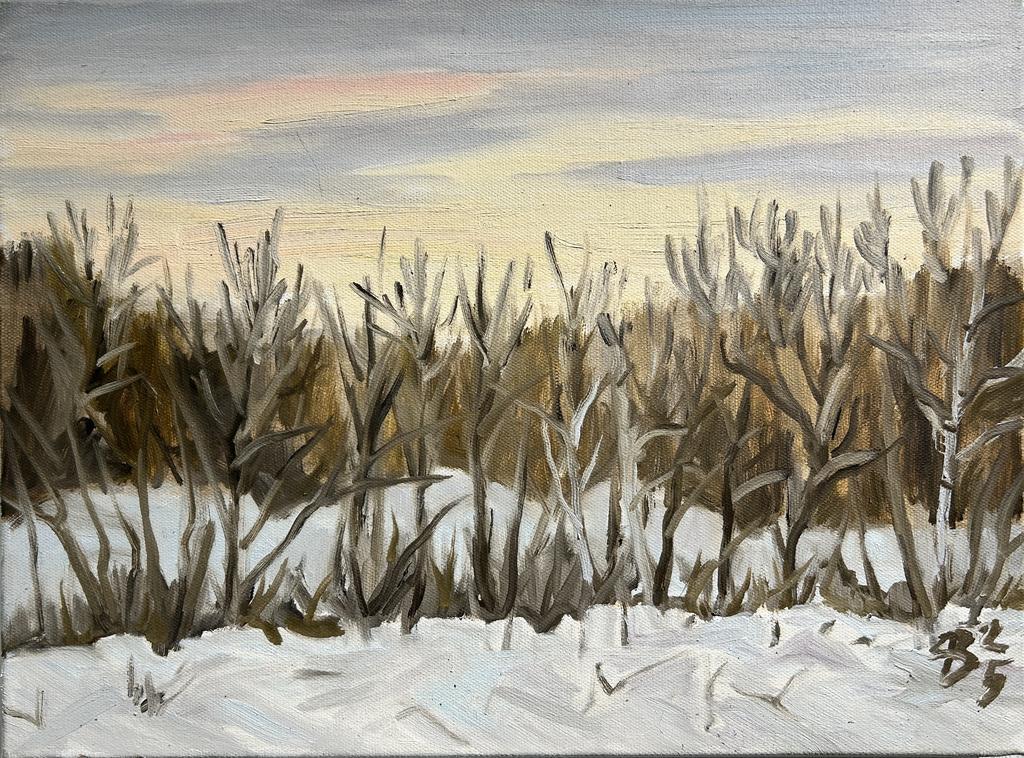 Василий Флоренский "Снежные холмы"