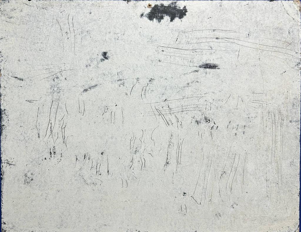 Коты - художники "Туча над лужайкой"