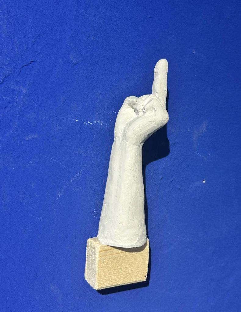 Павел Зуданов "Фак"