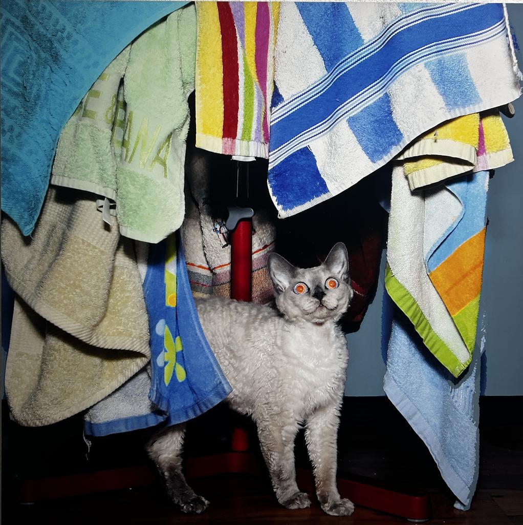 Евгения Стерлягова "Успели!"