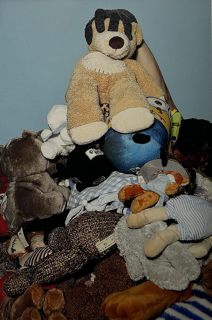 Евгения Стерлягова "Поглощение"