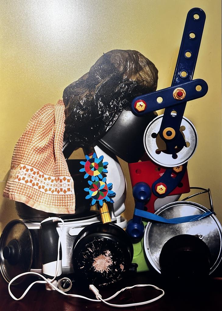 Евгения Стерлягова "Все, что под рукой II"