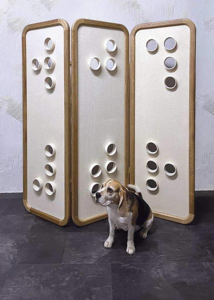 Ширма Kryptos 451