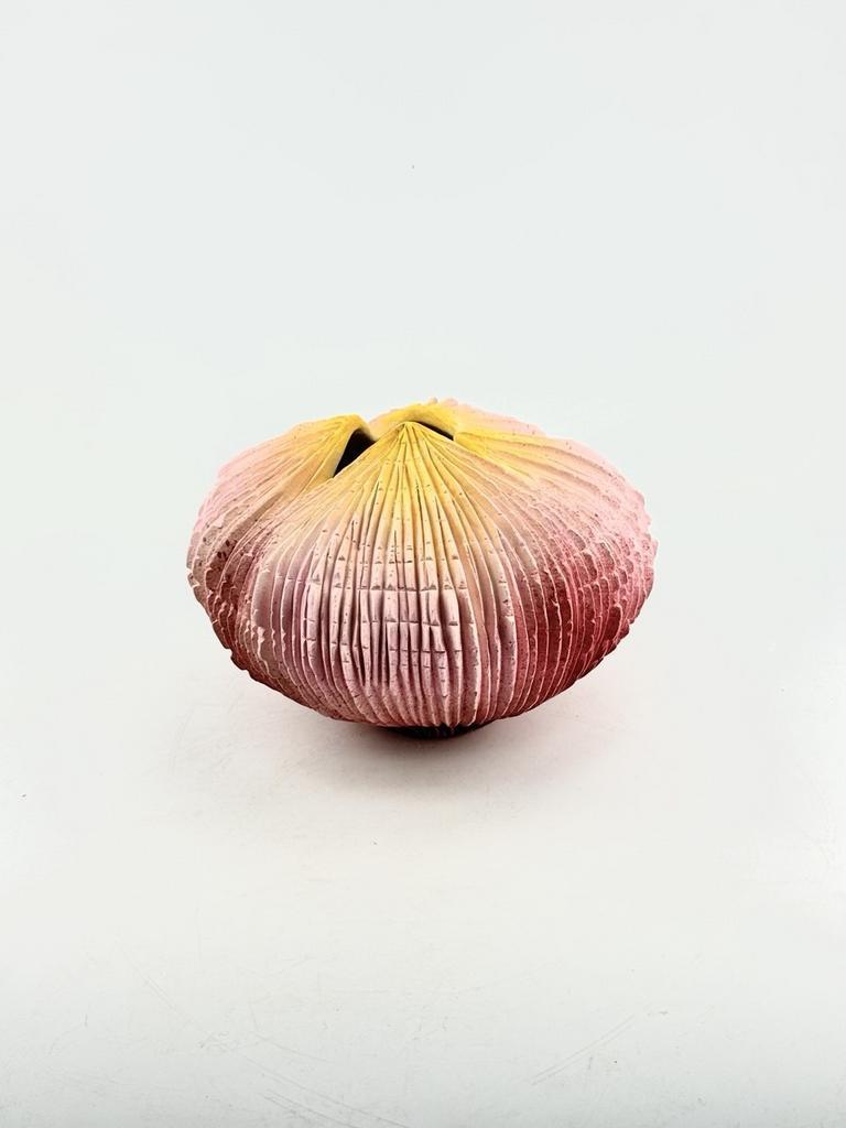 Цветы океана