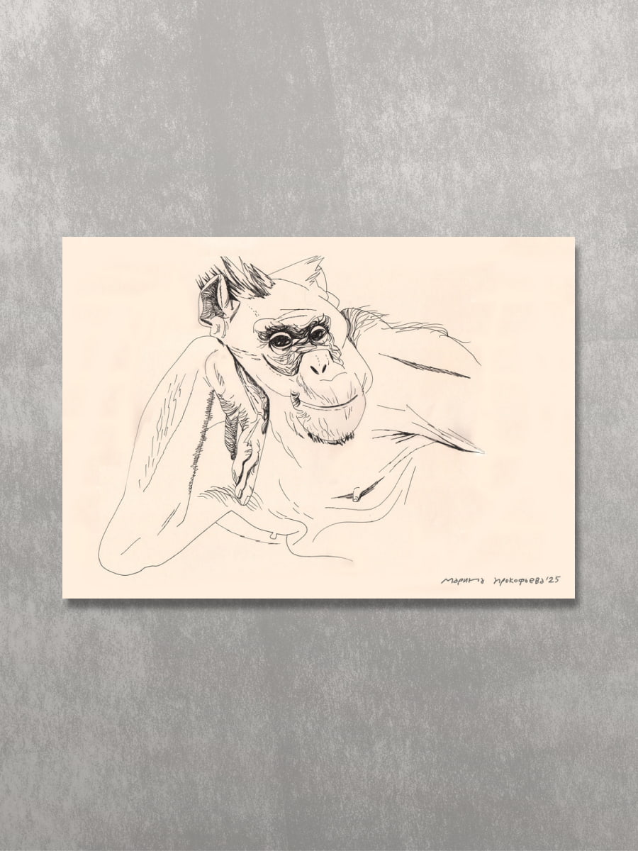 Постер «Бонобо»