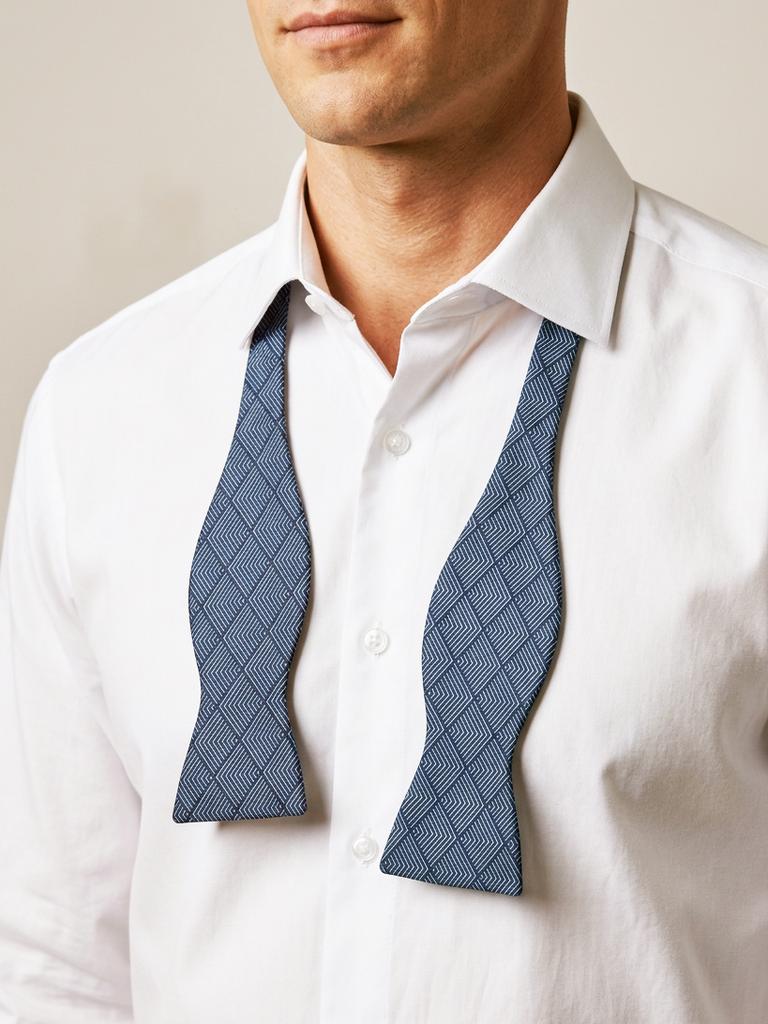 Бабочка самовяз с принтом серые полосы