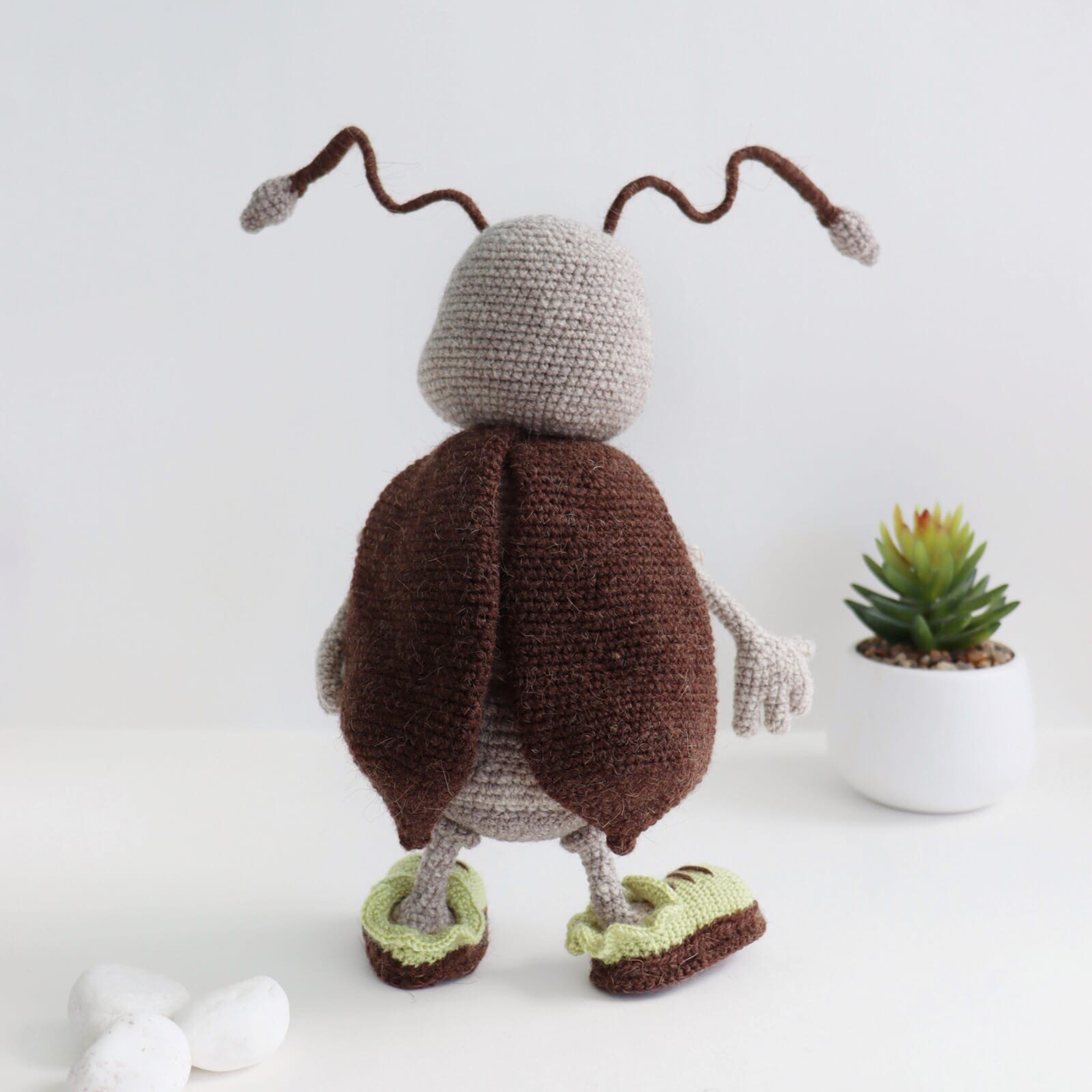 Мастер-класс Таракаша