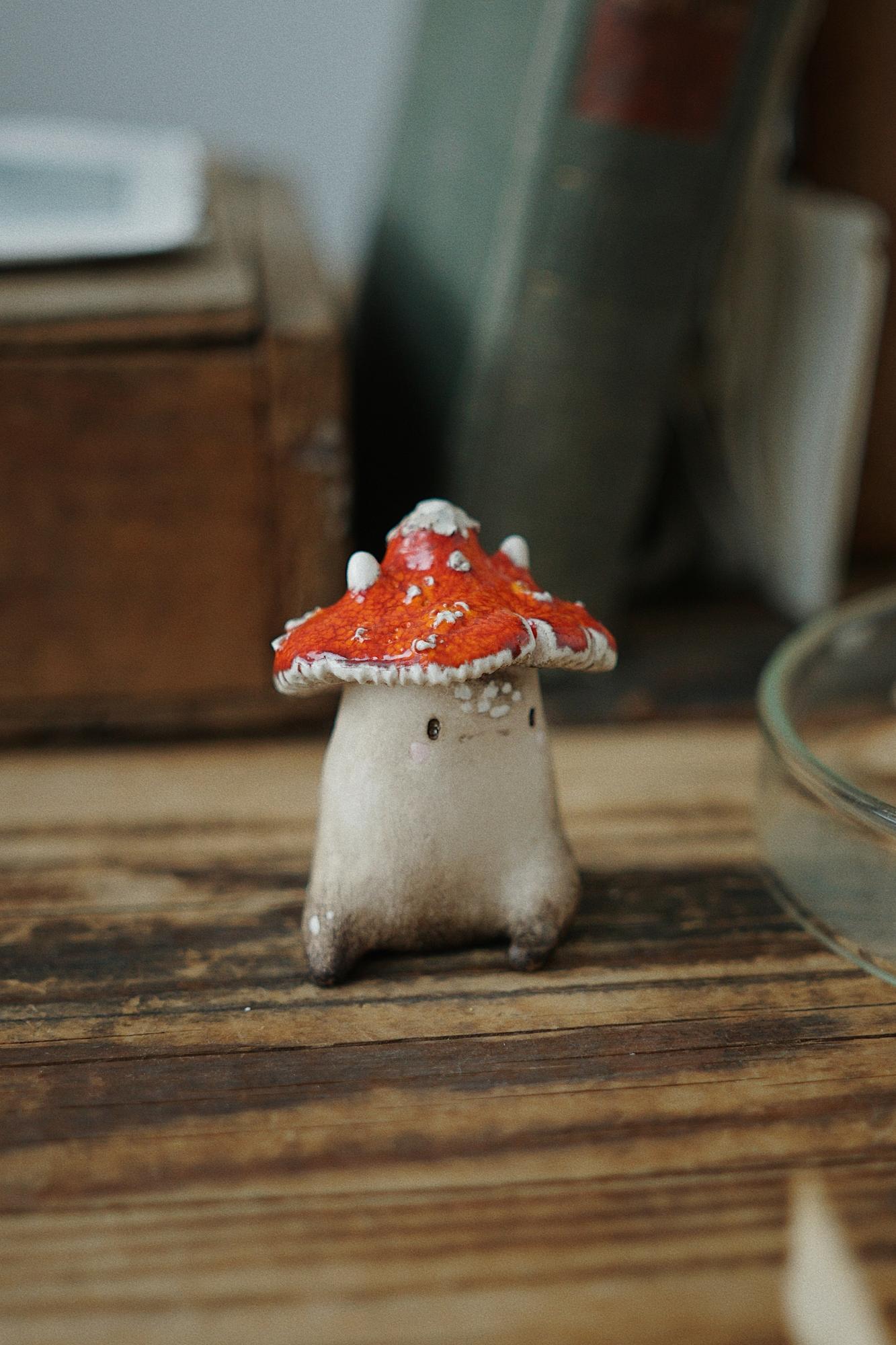 AMANITA CAT ↟ мухоморный котик