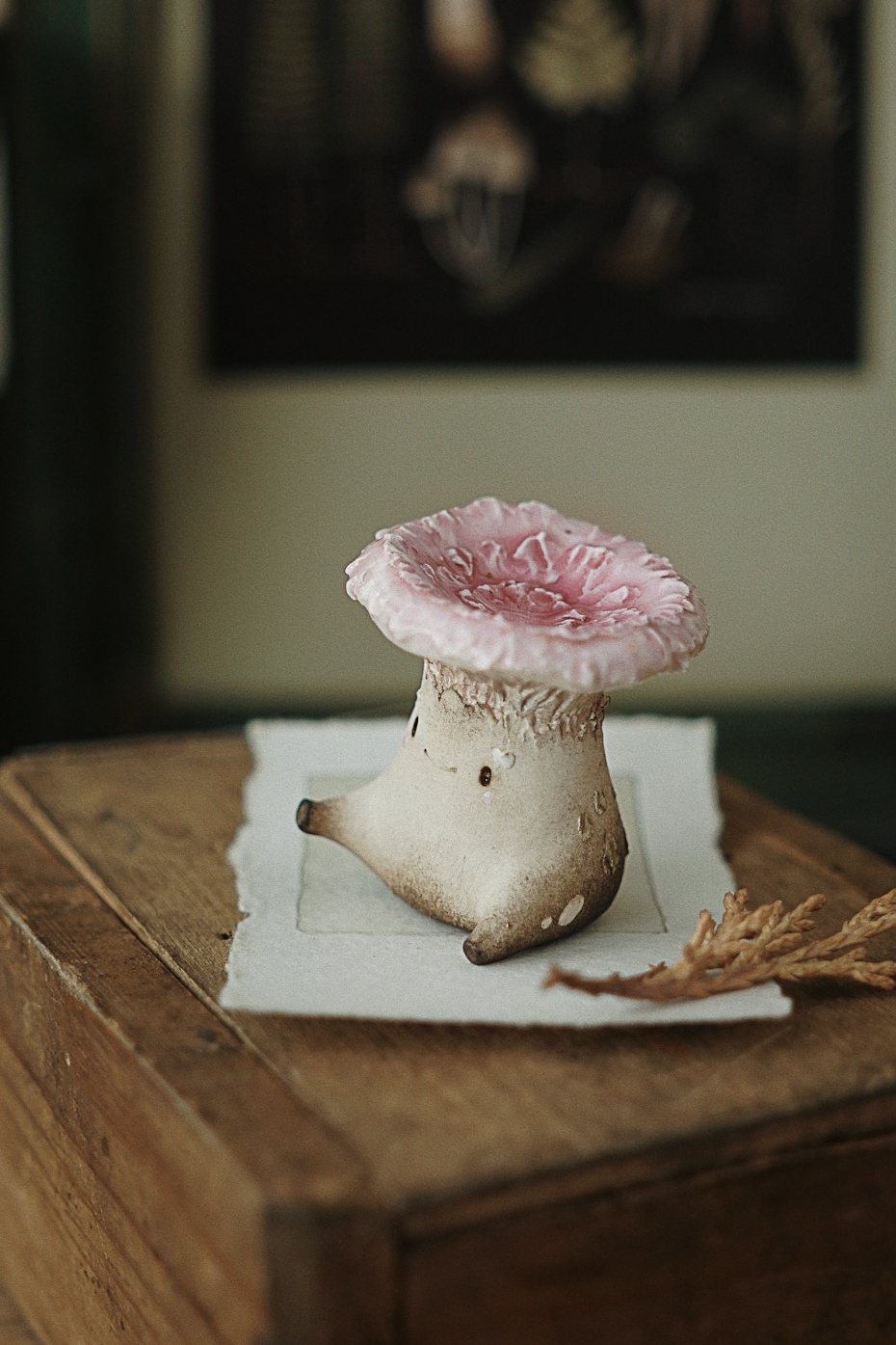 WOOLY MILKCAP ↟ волнушка