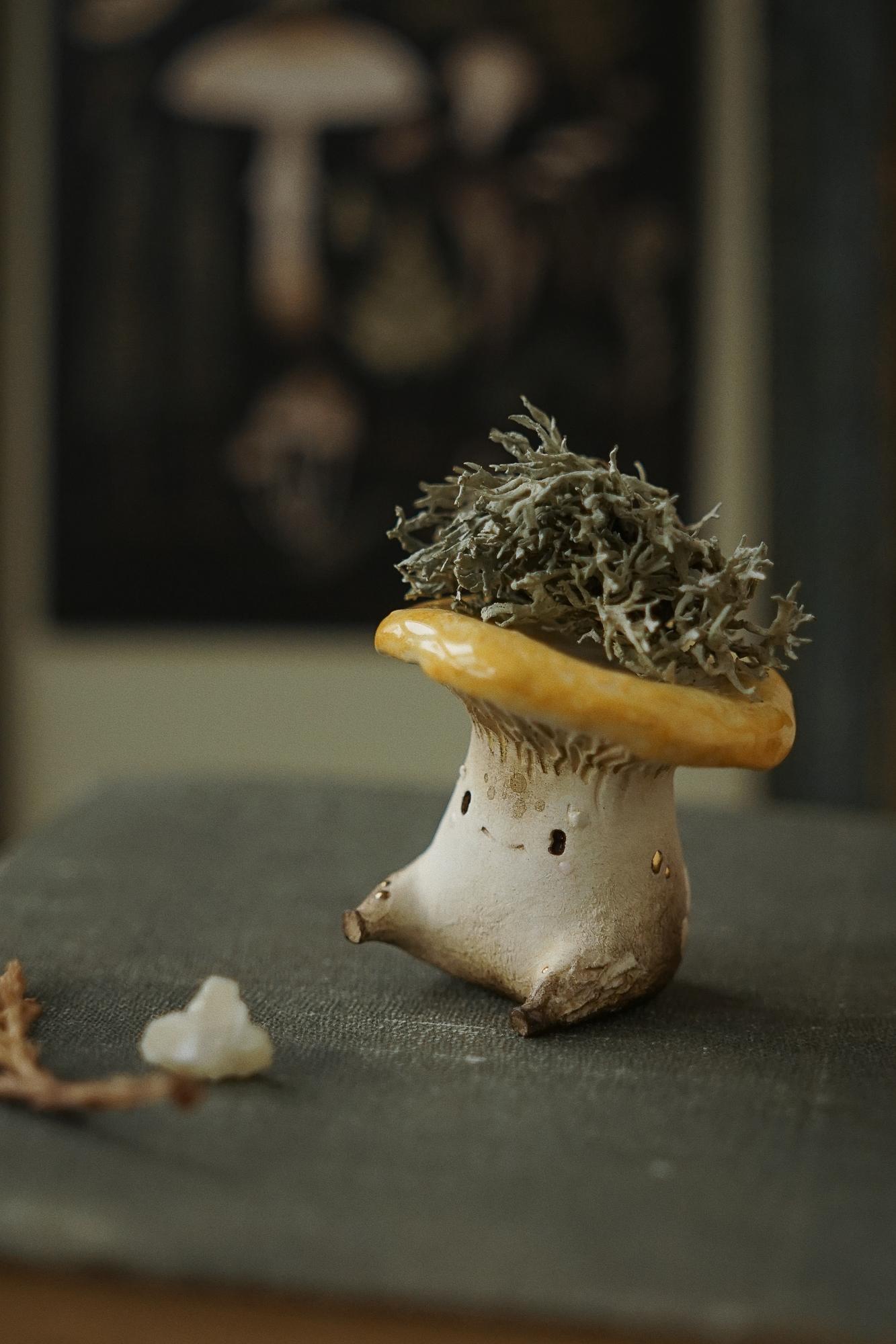 CHANTERELLE ↟ лисичка