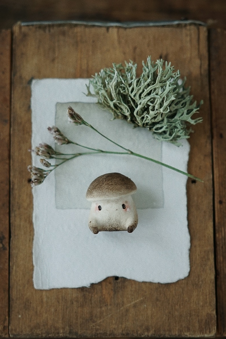 PORCINI ↟ подберезовик малыш