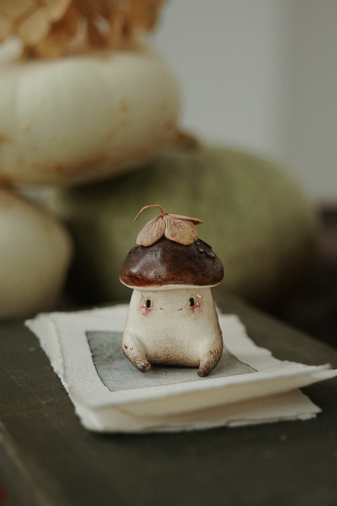 ASPEN SHROOMIE ↟ подосиновик