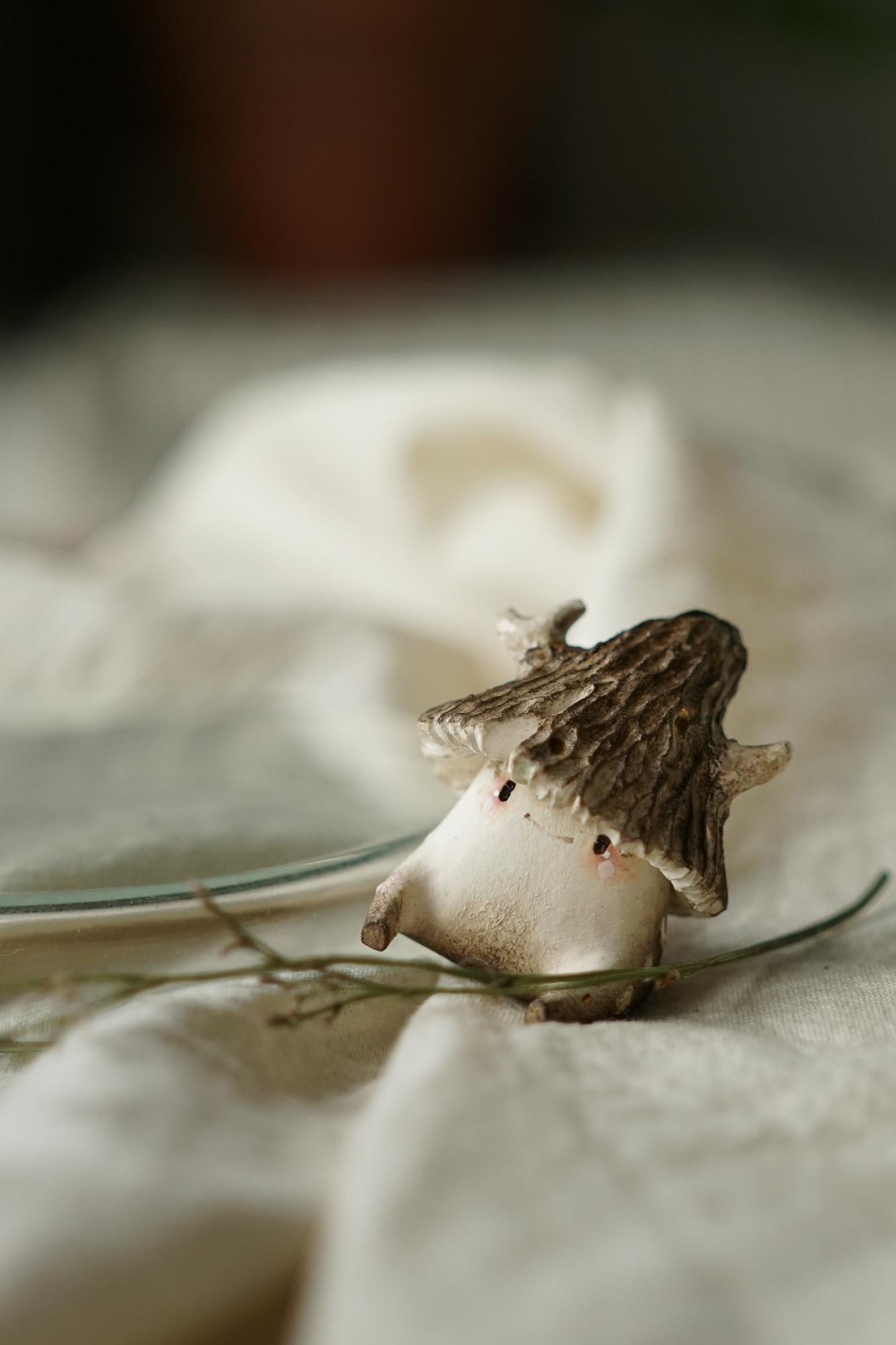 MOREL SHROOMIE ↟ сморчок