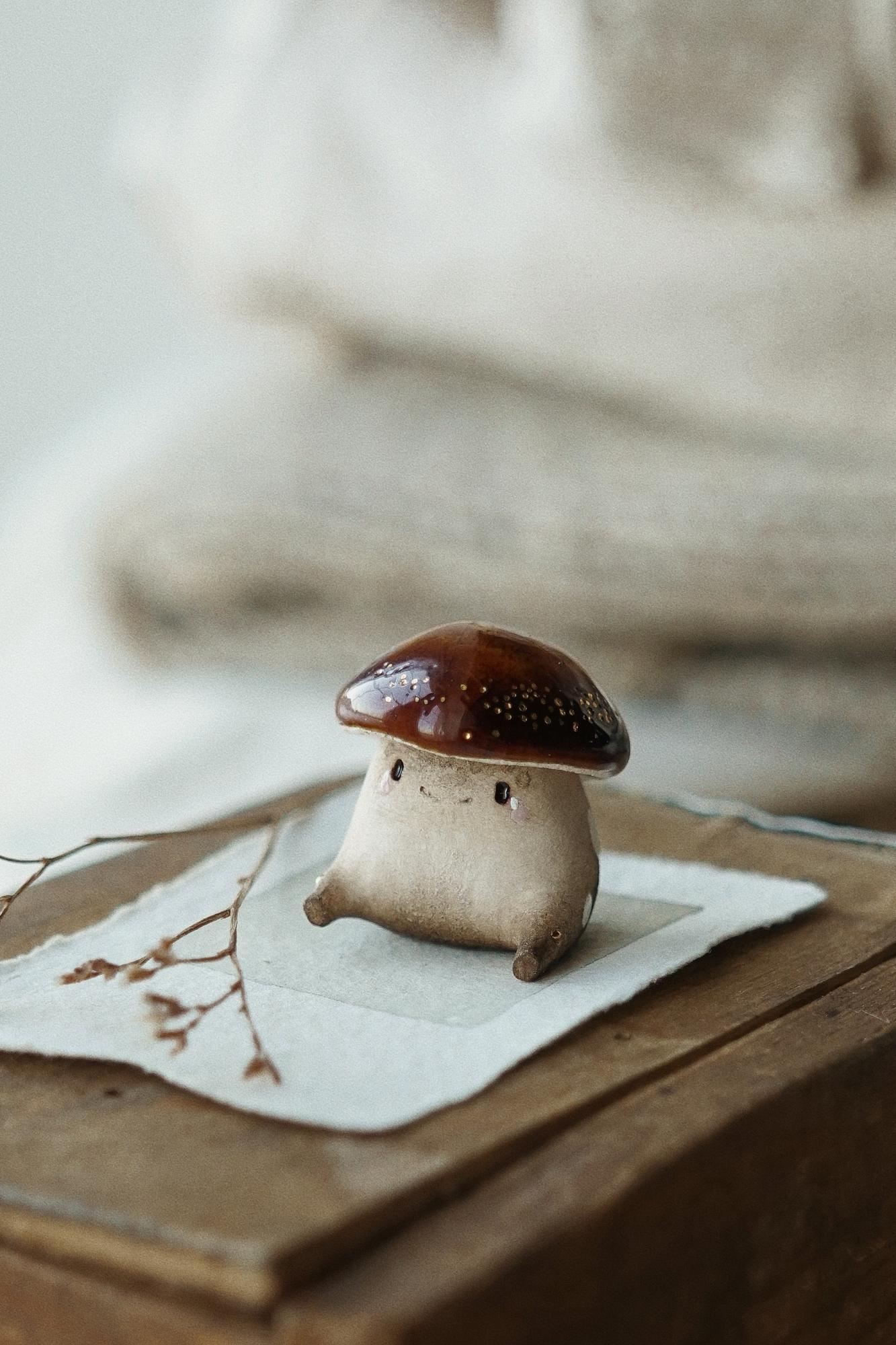 ASPEN SHROOMIE ↟ подосиновик