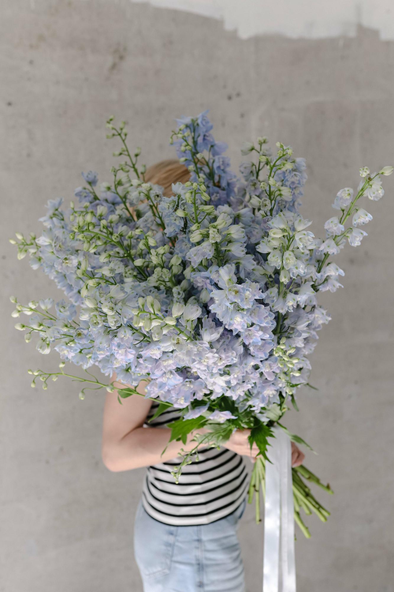 Дельфиниум