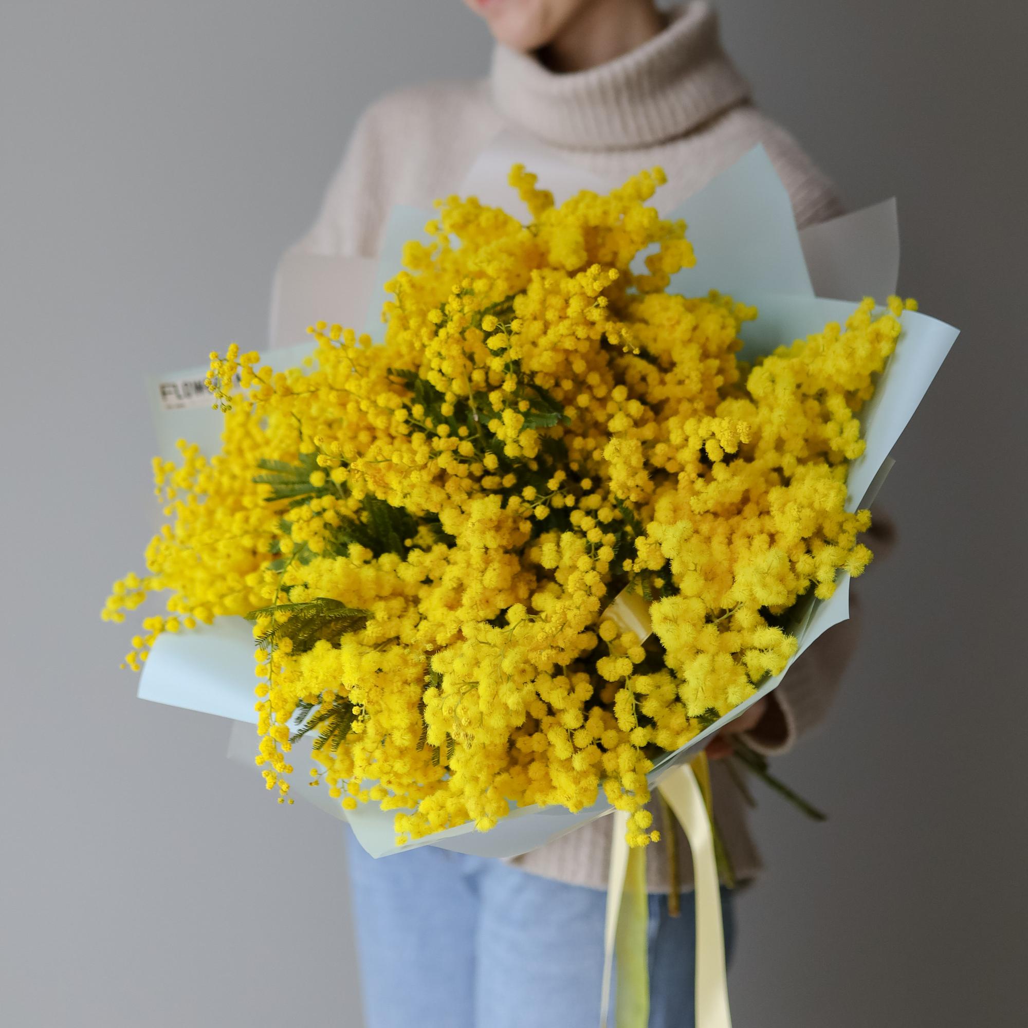 Итальянская мимоза