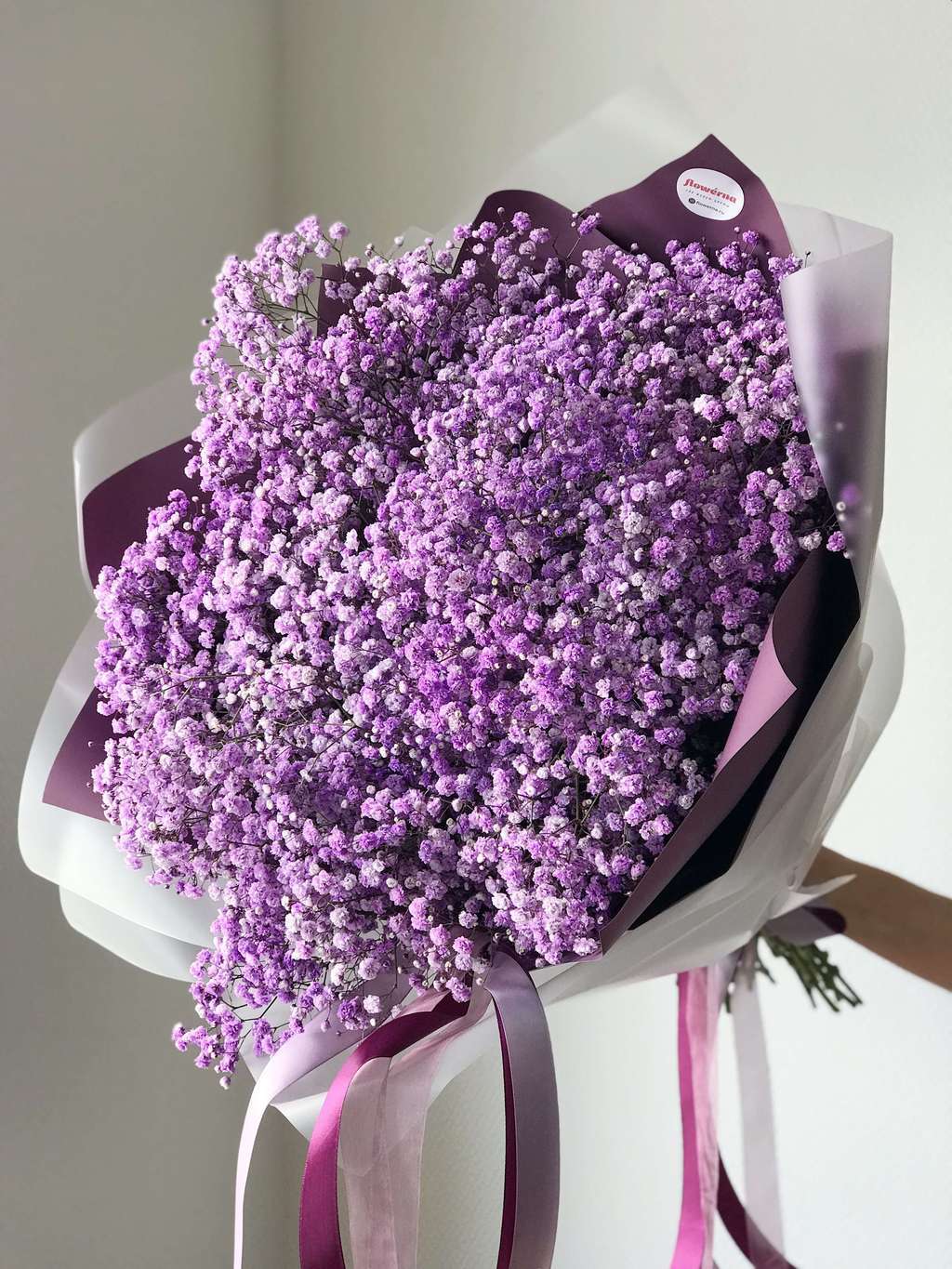 Гипсофила Violet