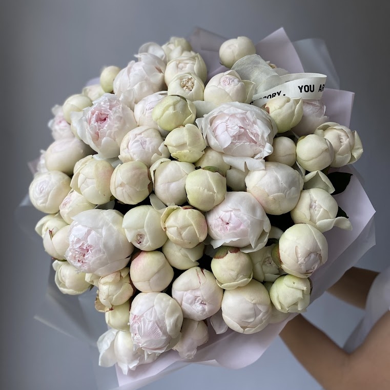 Пионы "Одиль"